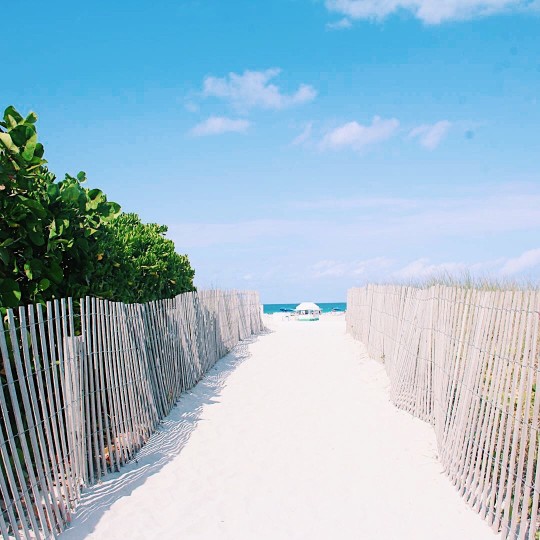 houses for sale and rent