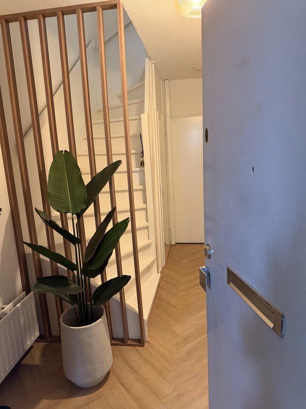 05513734320a0bf9786b09b3d0d958b6 appartement