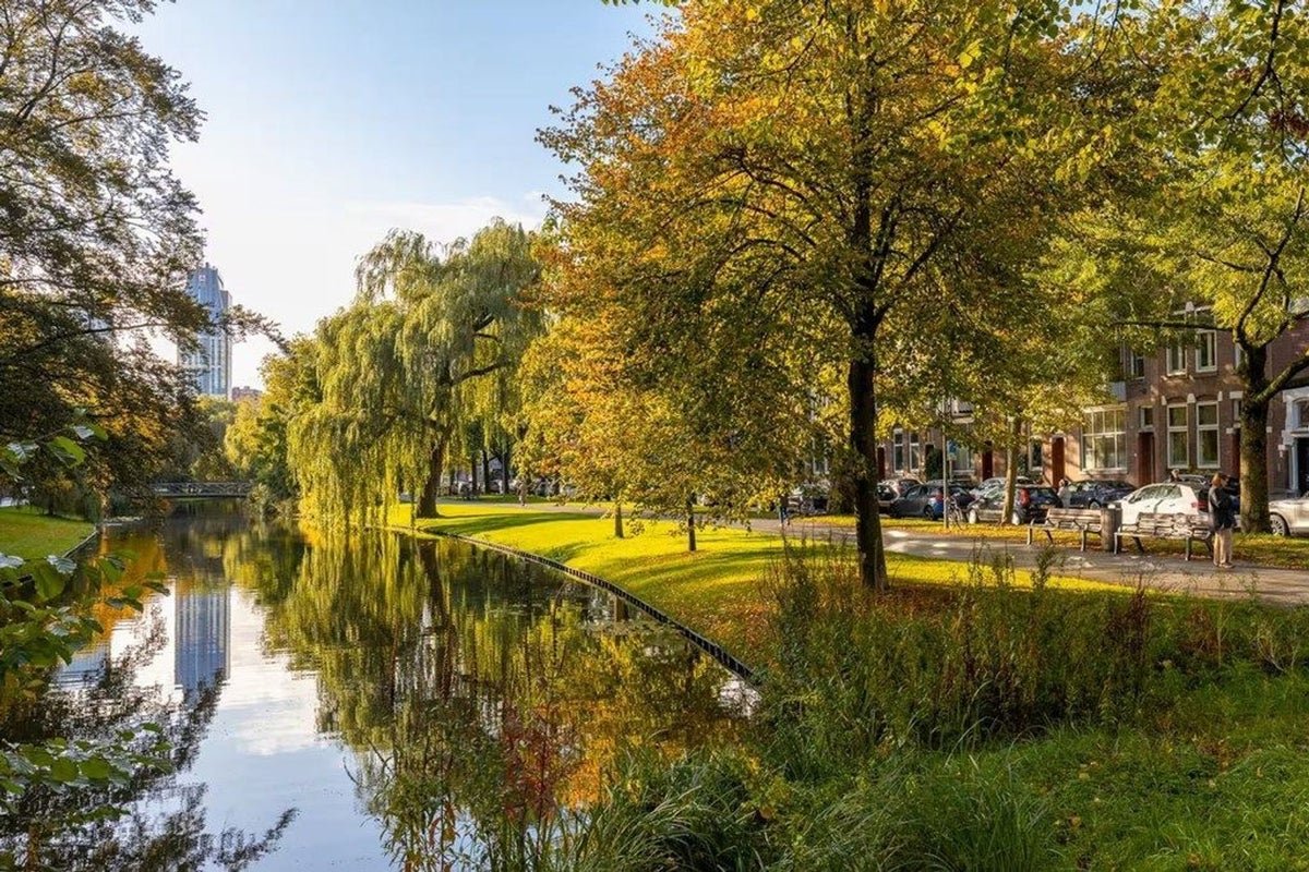 0dfd5dce-24ae-512d-bcfc-9c7c6eff4e37 Spoorsingel, 3033GH Rotterdam