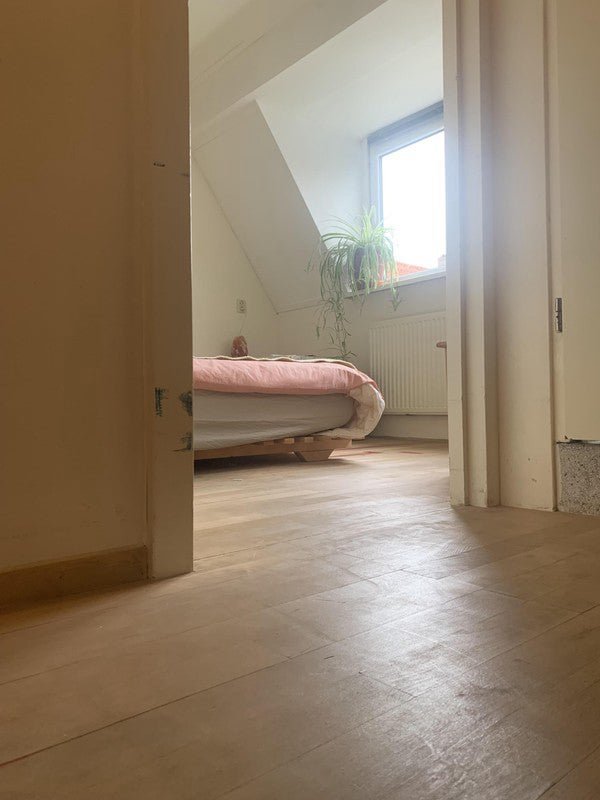 0ff996b38c6ab6de26b2ed170f9a122a appartement