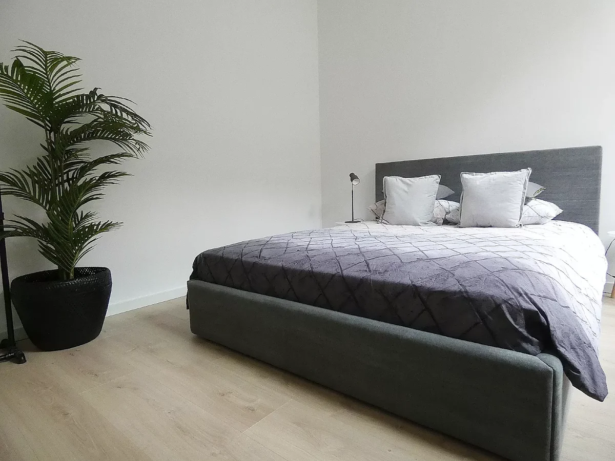 1138962b-0cdf-5c46-9967-22e91a222dc6 appartement