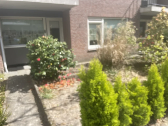 huis