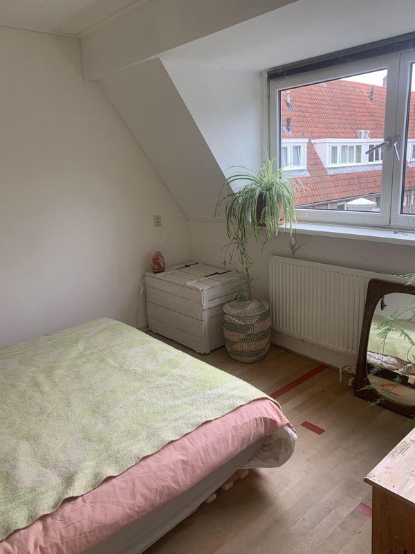 14ee330e1c4ff311de9884e3a6733d50 appartement