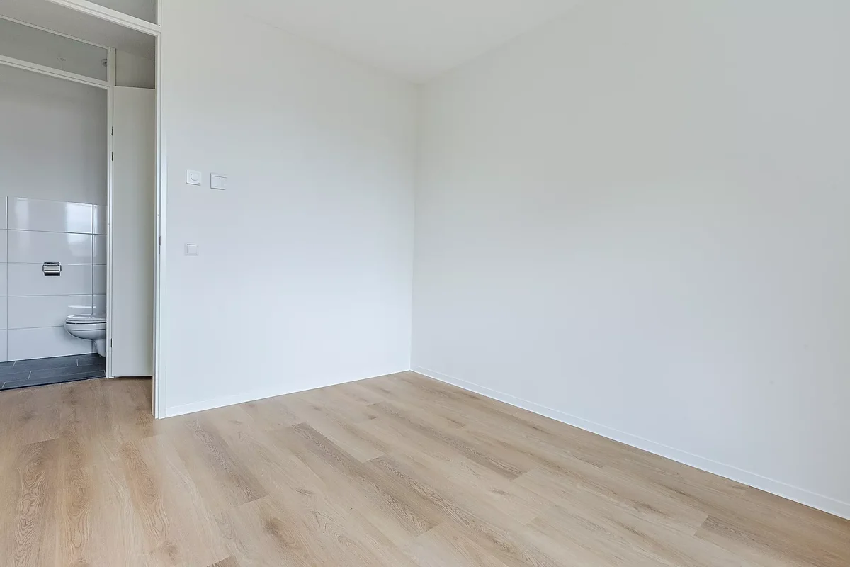 Timmerrak, 1506TP Zaandam