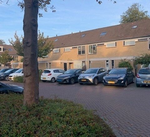 Punter, 1186PN Amstelveen