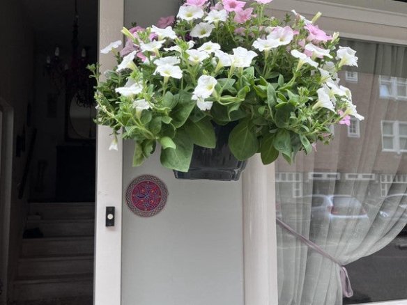 Van Bossestraat, 1051JT Amsterdam