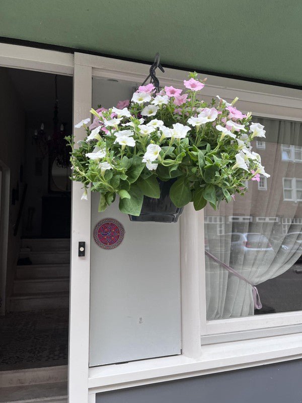 Van Bossestraat, 1051JT Amsterdam