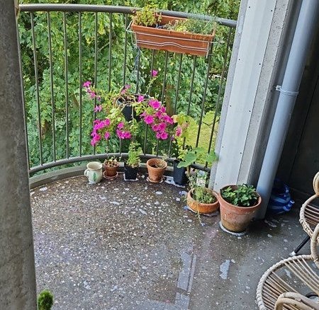 appartement