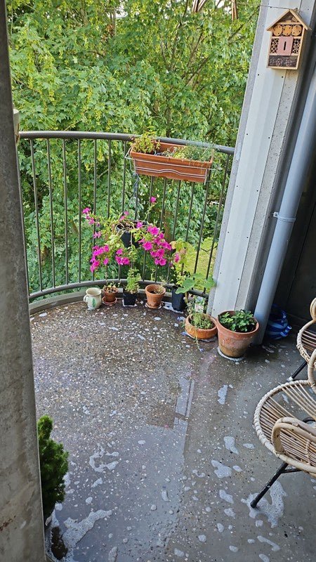 appartement
