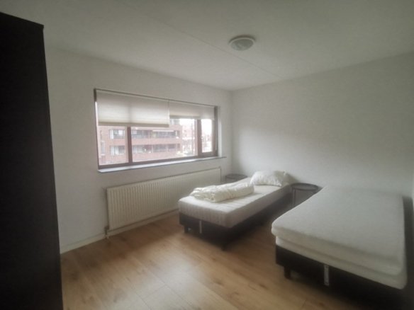 huis