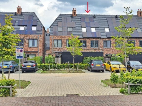 Regenboogforel, 2742NH Waddinxveen