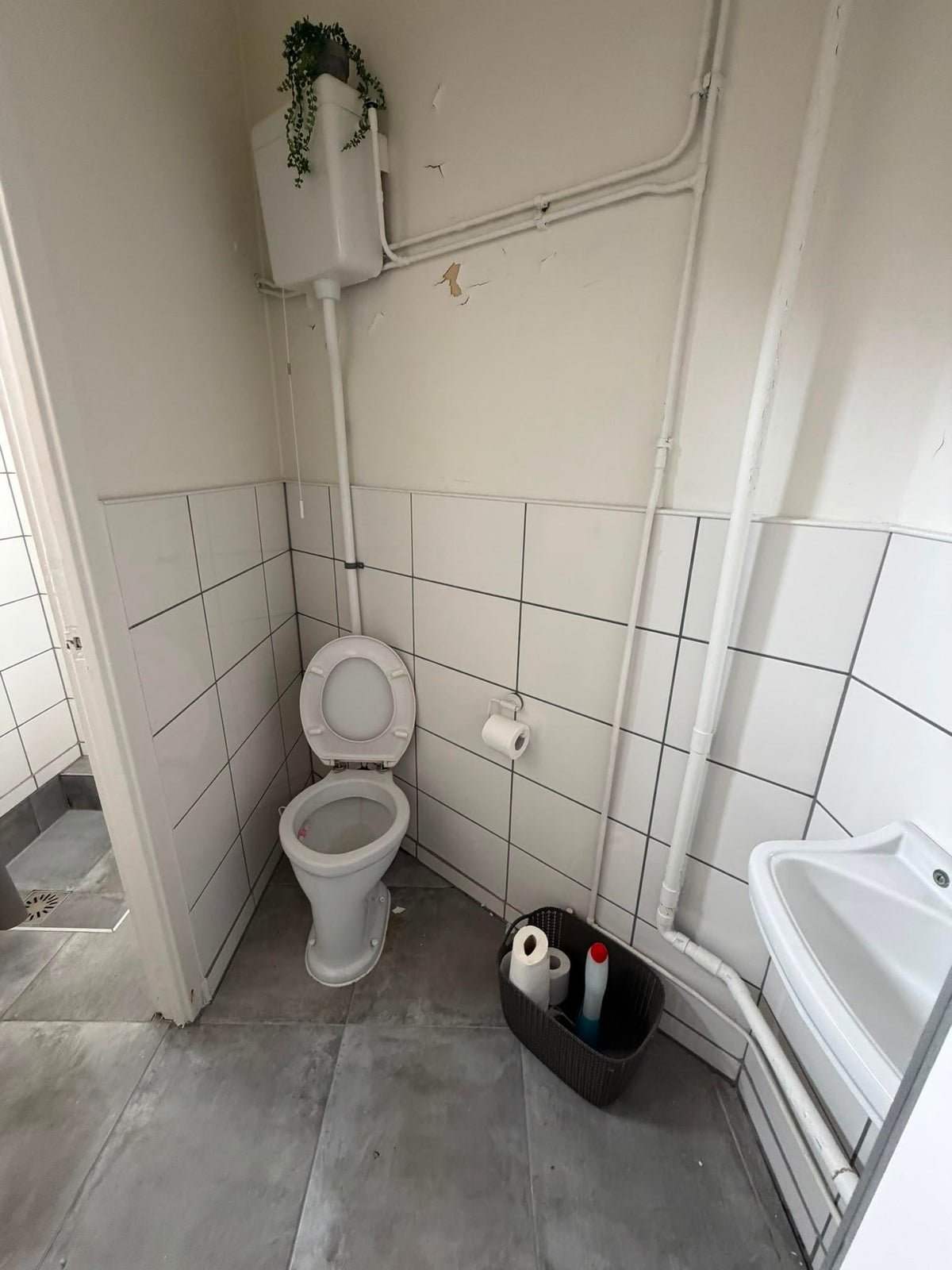 2687227e83db6dfbfed71c0c8b186e7c kamer