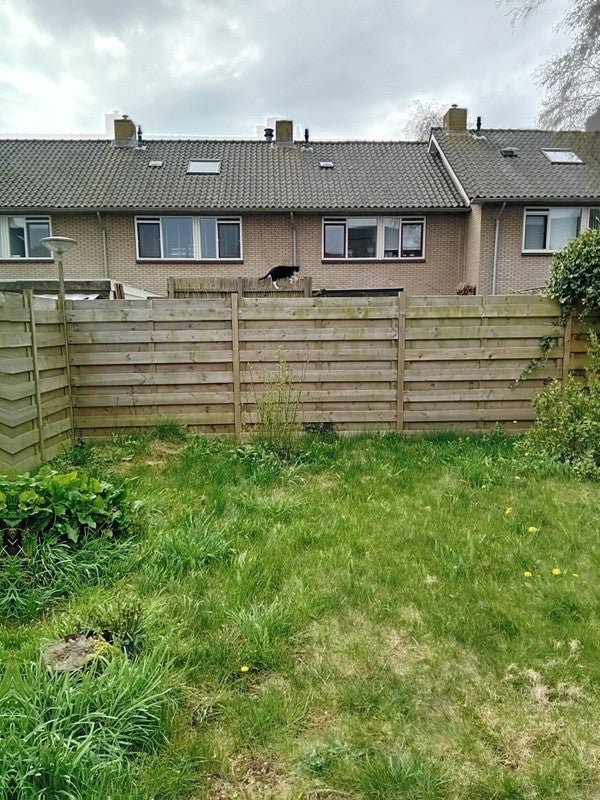 2a98a1860845442fc45b9691d78ca06d Pimpernel, 1902JK Castricum