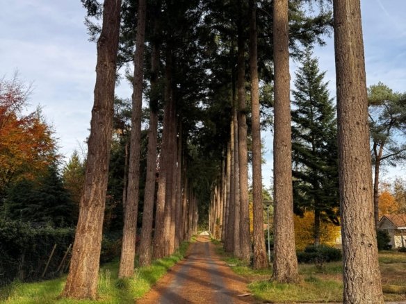Hammerweg, 7731AK Ommen