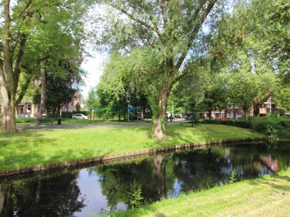 Koningslaan, 3583GB Utrecht