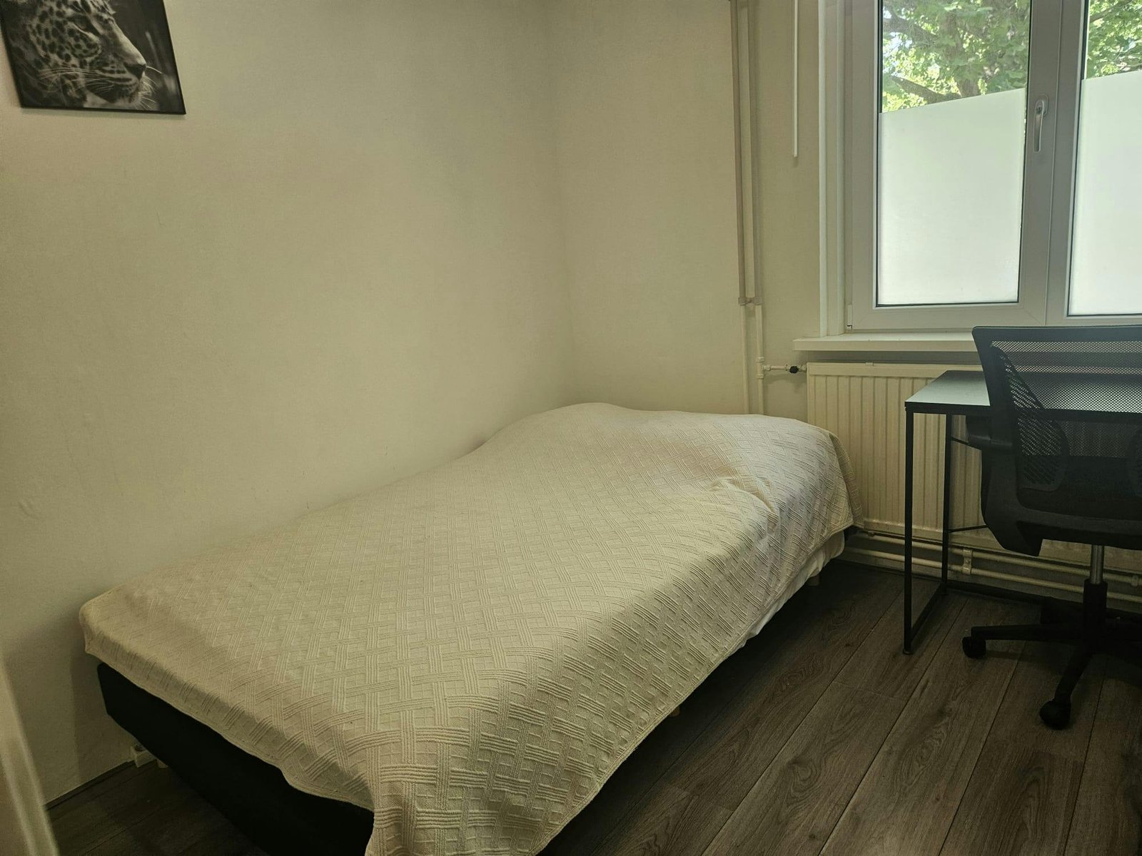 411b8922-2e86-4f62-a676-09c172fb2b06 Kamer in Amsterdam