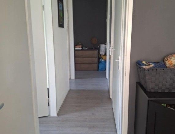 Molukkenstraat, 9715NZ Groningen