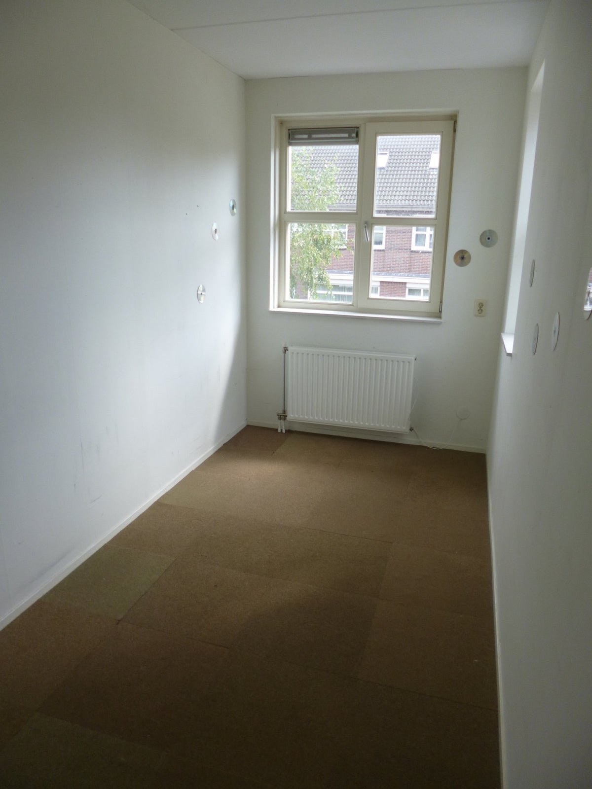 489165d6-0243-5f56-beef-3db83476b41f Parnassia, 7944PR Meppel