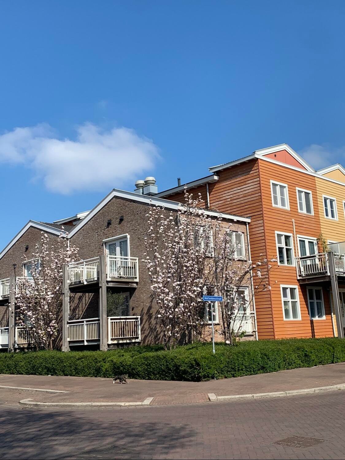 Screenshot Woning aan de Mattenbiesstraat te Rotterdam