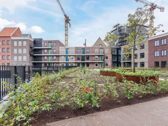 De Houthaalder, 1506TM Zaandam