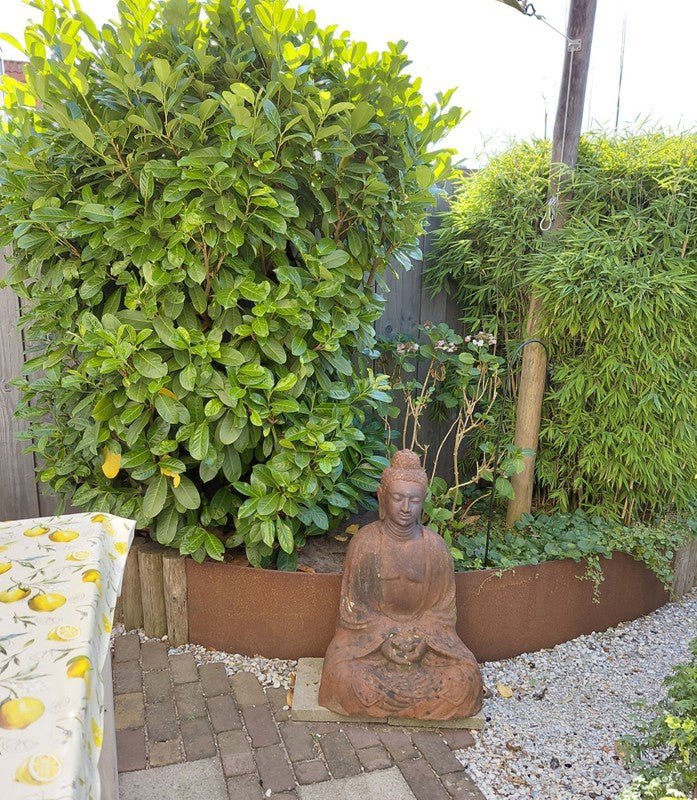 4d3ddecd106bd9a9aebf57cb26391efb Dr. Schaepmanlaan, 3702XE Zeist