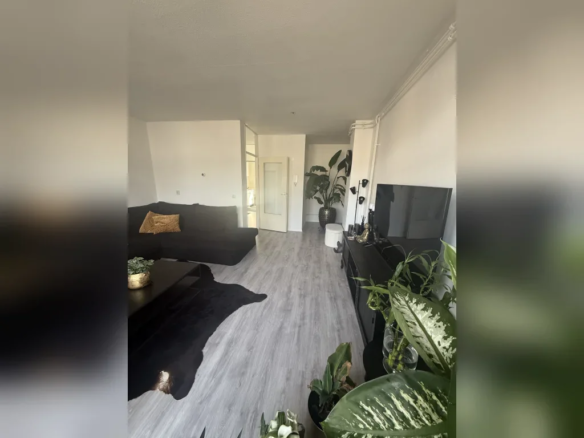 Wolphaertstraat, 3082BM Rotterdam