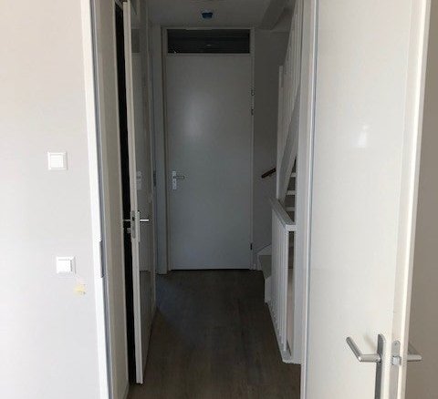 Otterstraat, 5622AL Eindhoven