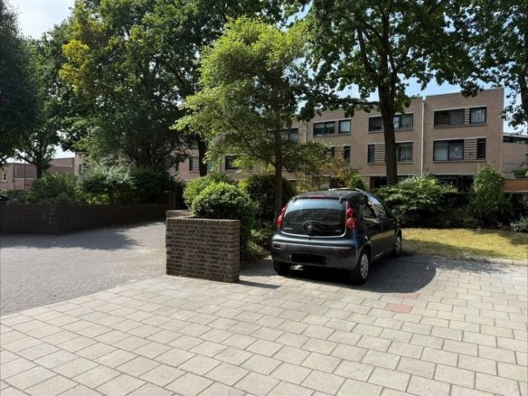 Zonnebloemstraat, 2565RV Den Haag