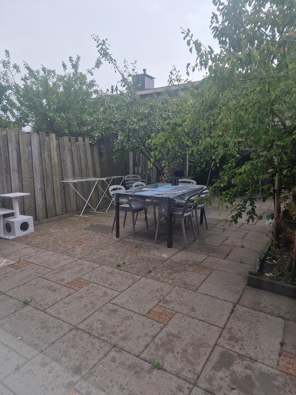 4f6e101624291412c4ce504248556e69 appartement