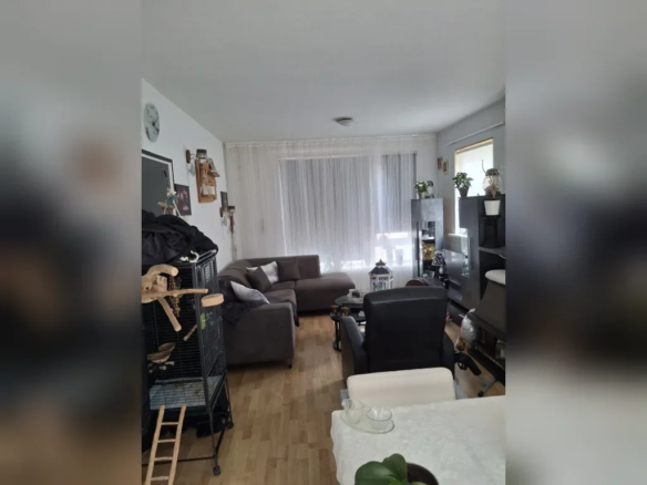 huis