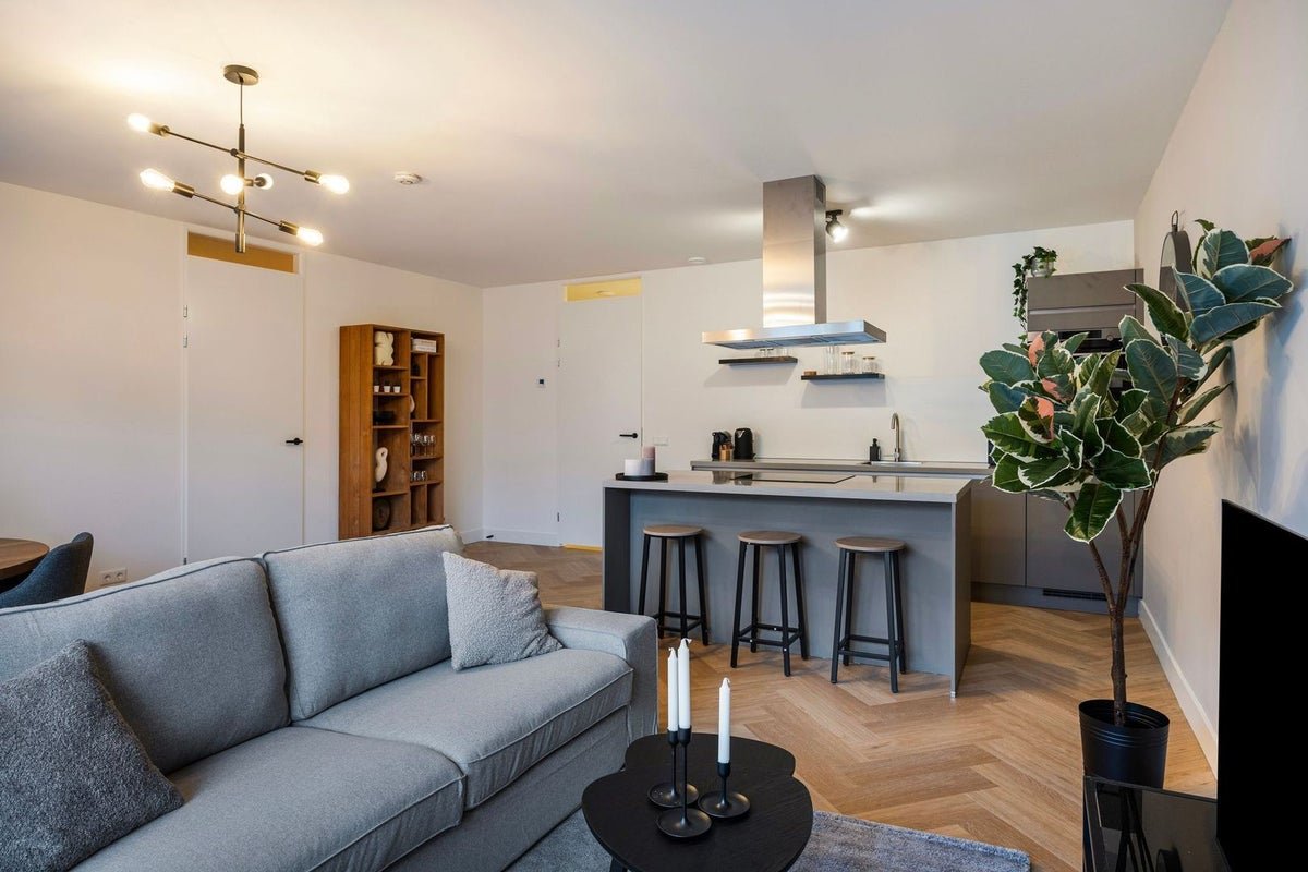 52d16dc5-071c-5faa-a08f-1f8480448997 appartement