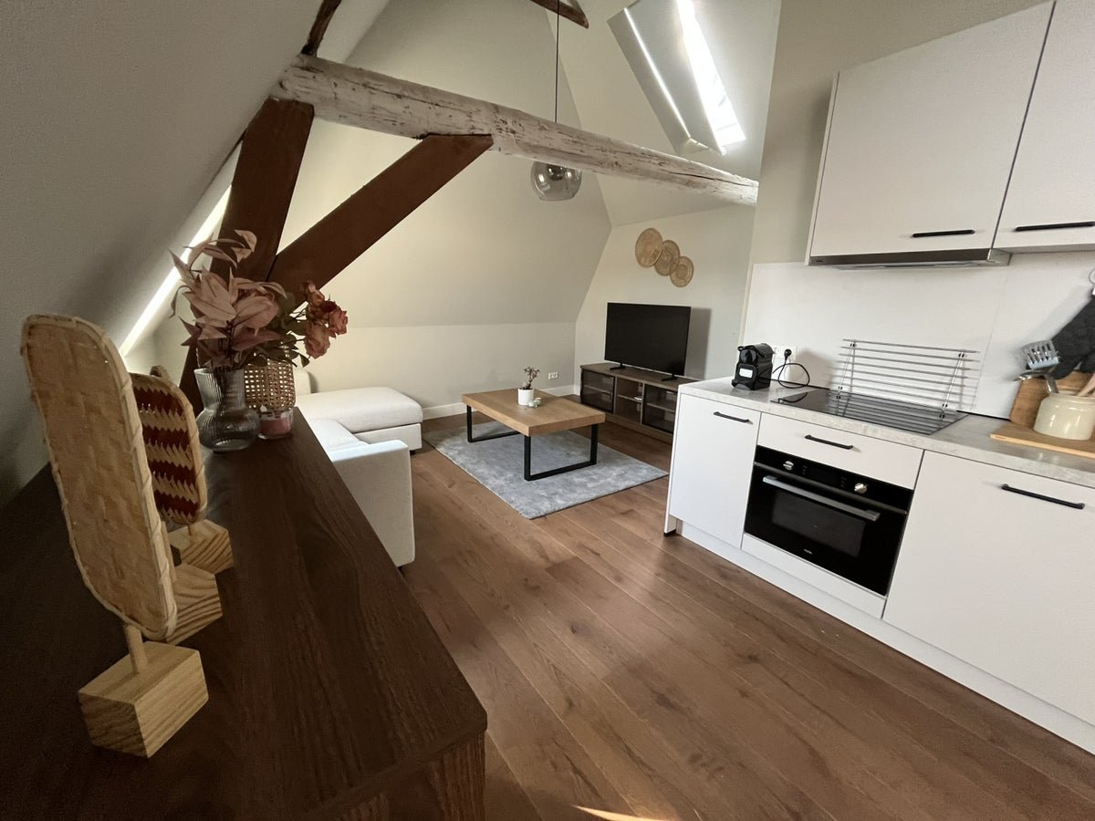 52f2218d-8a4e-5783-b26d-63ce5138afee appartement