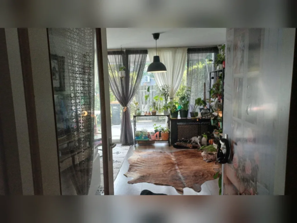 huis