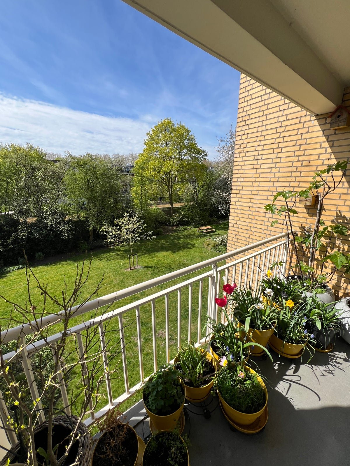 Karel Doormanlaan, 3572NG Utrecht