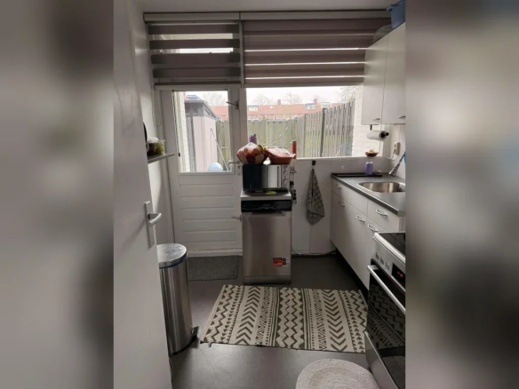Louis Raemaekersstraat, 1068NX Amsterdam
