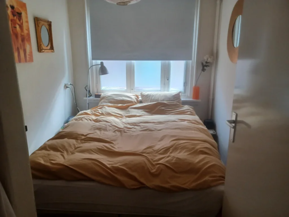 Saffierstraat, 1074GZ Amsterdam