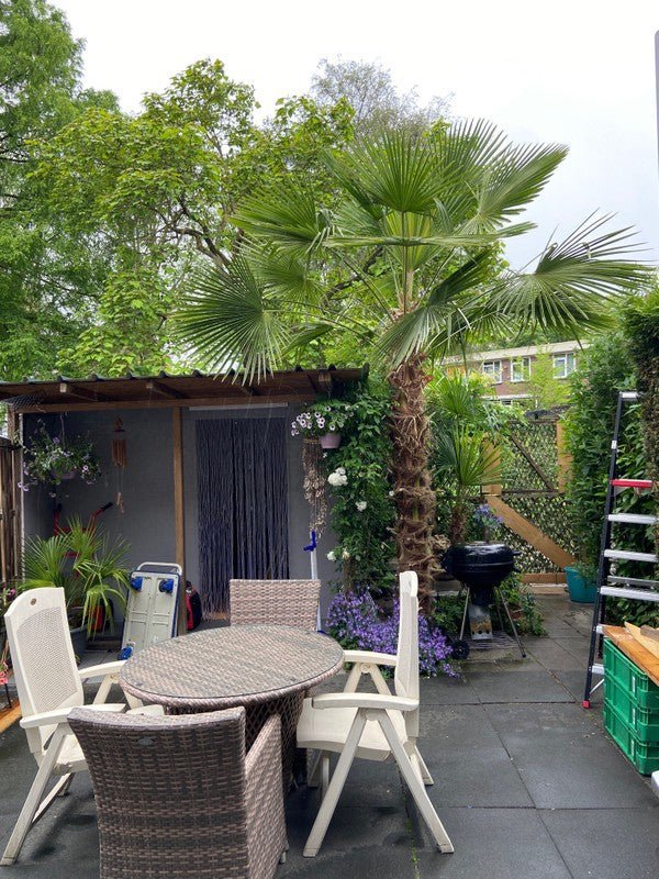 7f75ba9eebd458aec40c12993b2f26a5 Pettenstraat, 1024CS Amsterdam