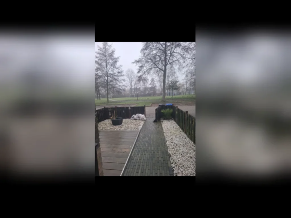huis