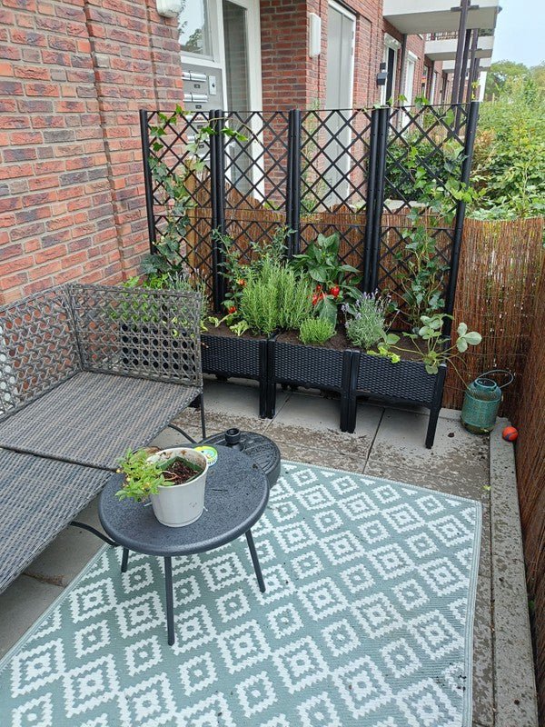 862093285731fa54c666f898c3bb8cc8 appartement