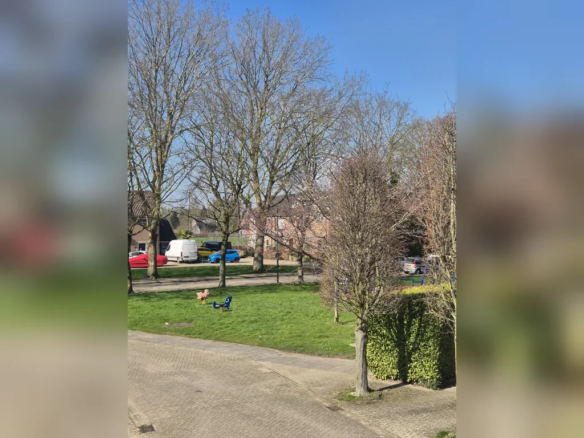 Elftstraat, 4285XP Woudrichem