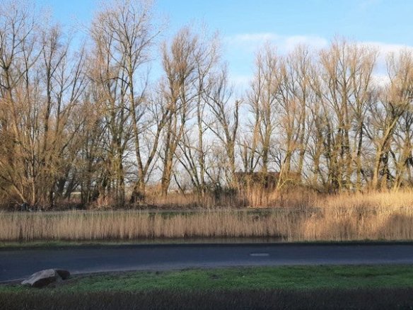 Het Haam, 6846KW Arnhem