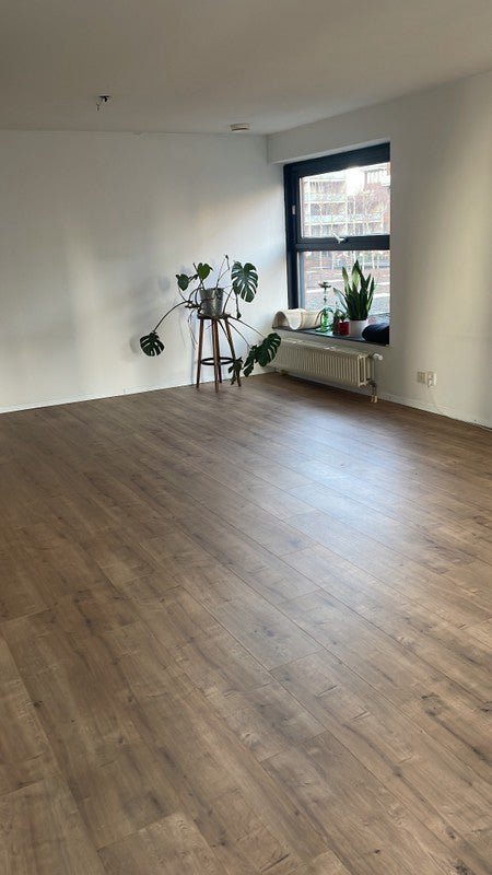 91051a9286f9845829fa5e7b25b52240 appartement