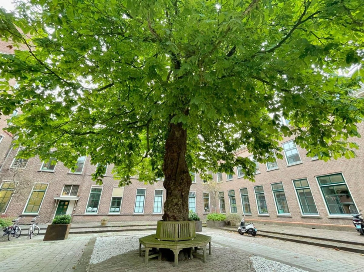 91afb2a3-f77c-5e2c-b7e5-b95f9658dae5 Rhijngeesterstraatweg, 2341BV Oegstgeest