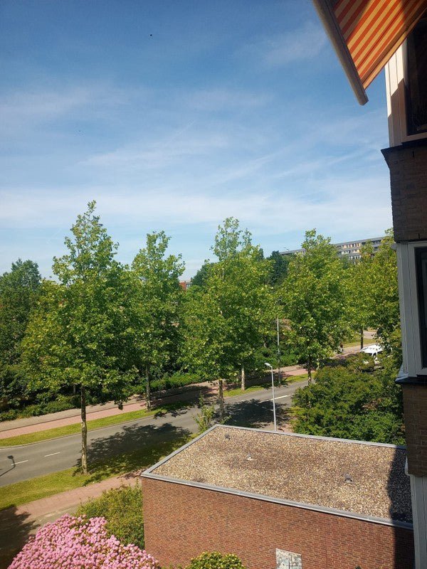 981cce1f86e7b484dcf0546c38a366a9 appartement