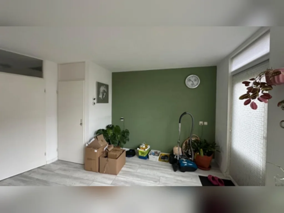 Anna Reijnvaanstraat, 1991RP Velserbroek