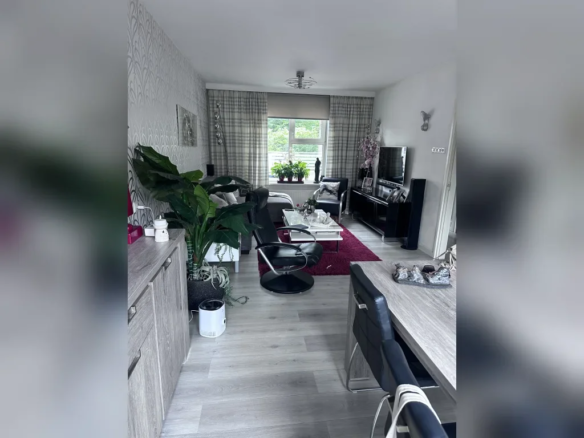 huis