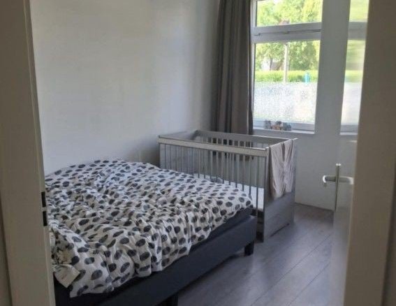 Molukkenstraat, 9715NZ Groningen