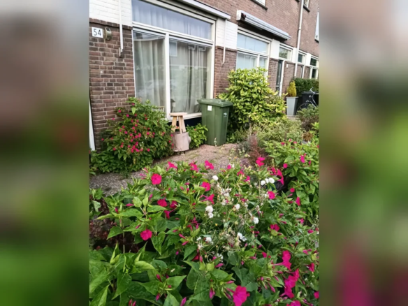 Planciusstraat, 3151BT Hoek van Holland