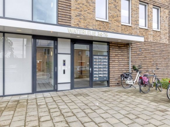 Waterleliestraat, 4621BD Bergen op Zoom
