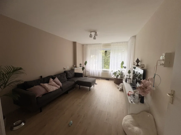 Kappeijne van de Coppelloweg, 3317RS Dordrecht
